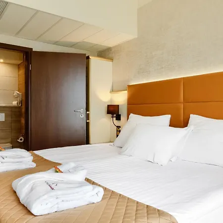 Park Diament Hotel 4*