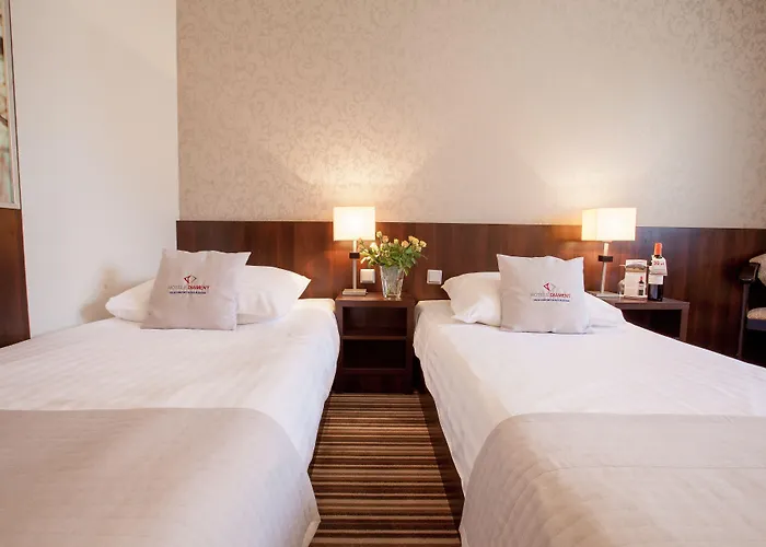 Otel Park Diament 4*